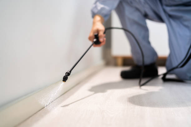 Certified termite inspector examining foundation in Homeland