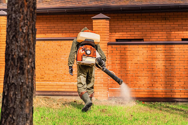 Bed Bug Clearance Verification and Documentation in Homeland
